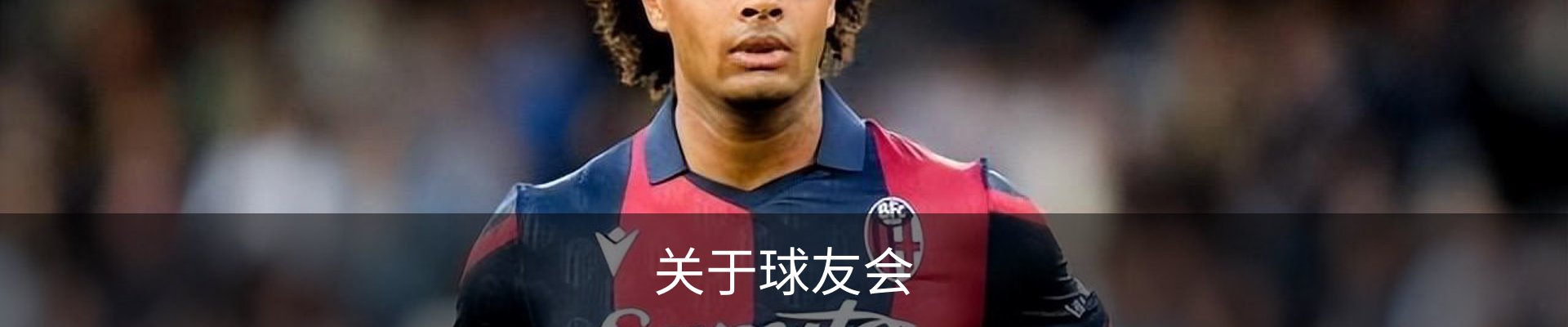 关于球友会